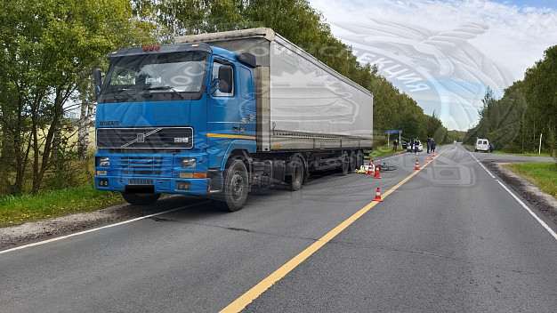 Смертельное ДТП в Пучежском районе: грузовик наехал на велосипедиста